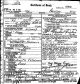Death Certificate (front): Ida Peterman Palefsky